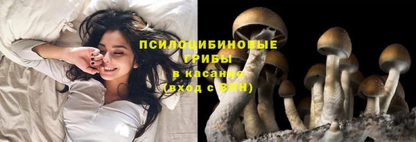 метадон Липки