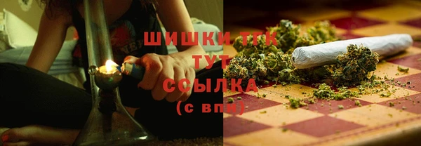 ПСИЛОЦИБИНОВЫЕ ГРИБЫ Лиски