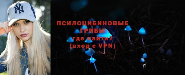 ПСИЛОЦИБИНОВЫЕ ГРИБЫ Лиски