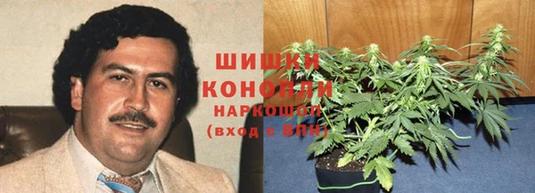 ПСИЛОЦИБИНОВЫЕ ГРИБЫ Лиски
