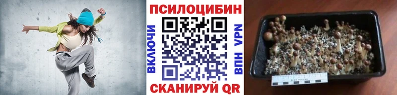 наркошоп  Волжский  Галлюциногенные грибы прущие грибы 