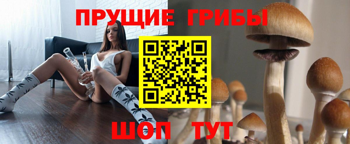 Псилоцибиновые грибы мицелий  Волжский 