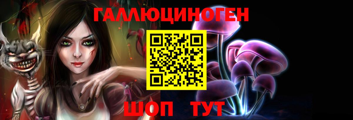 Галлюциногенные грибы Psilocybine cubensis Волжский